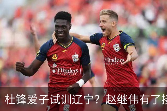 杜锋爱子试训辽宁？赵继伟有了接班人乐坏辽蜜 结果亲妈辟谣了