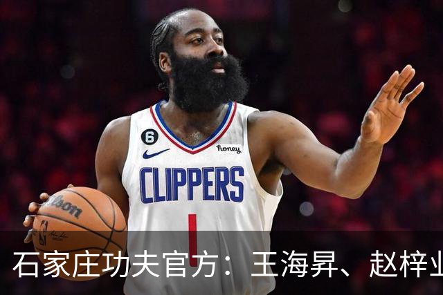 石家庄功夫官方：王海昇、赵梓业、徐友刚、韩东等5名球员离队